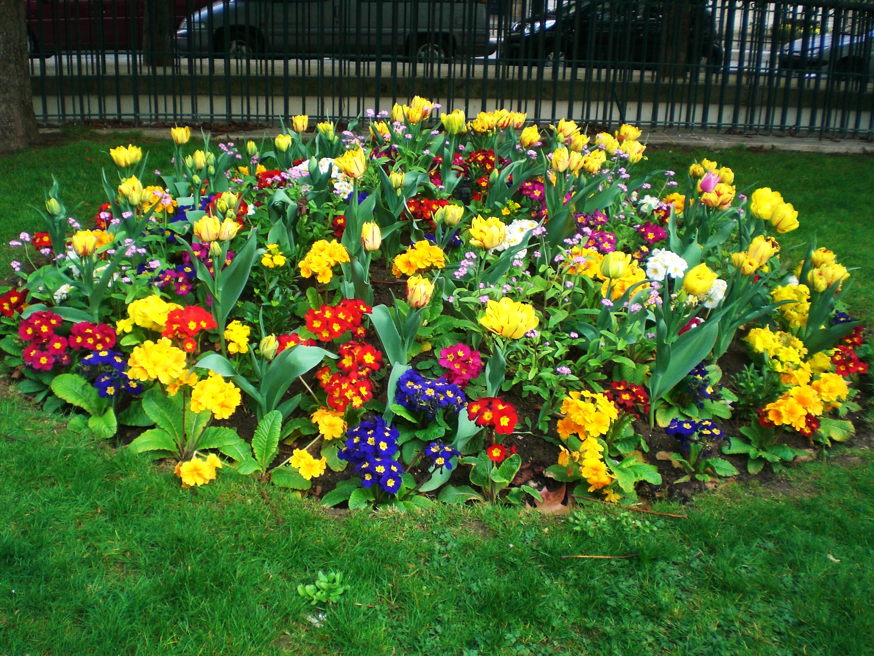 April in Paris