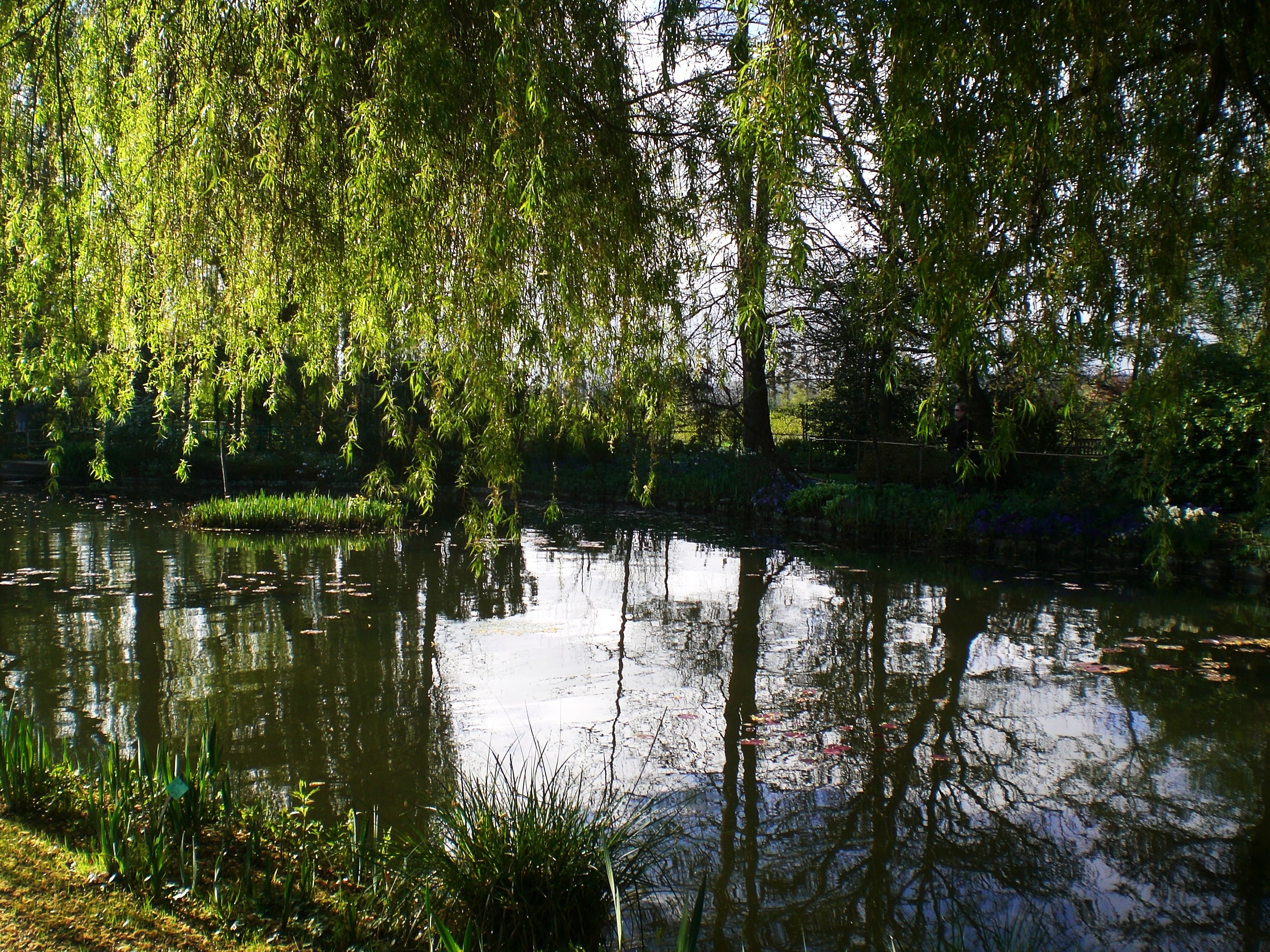 giverny {part deux}