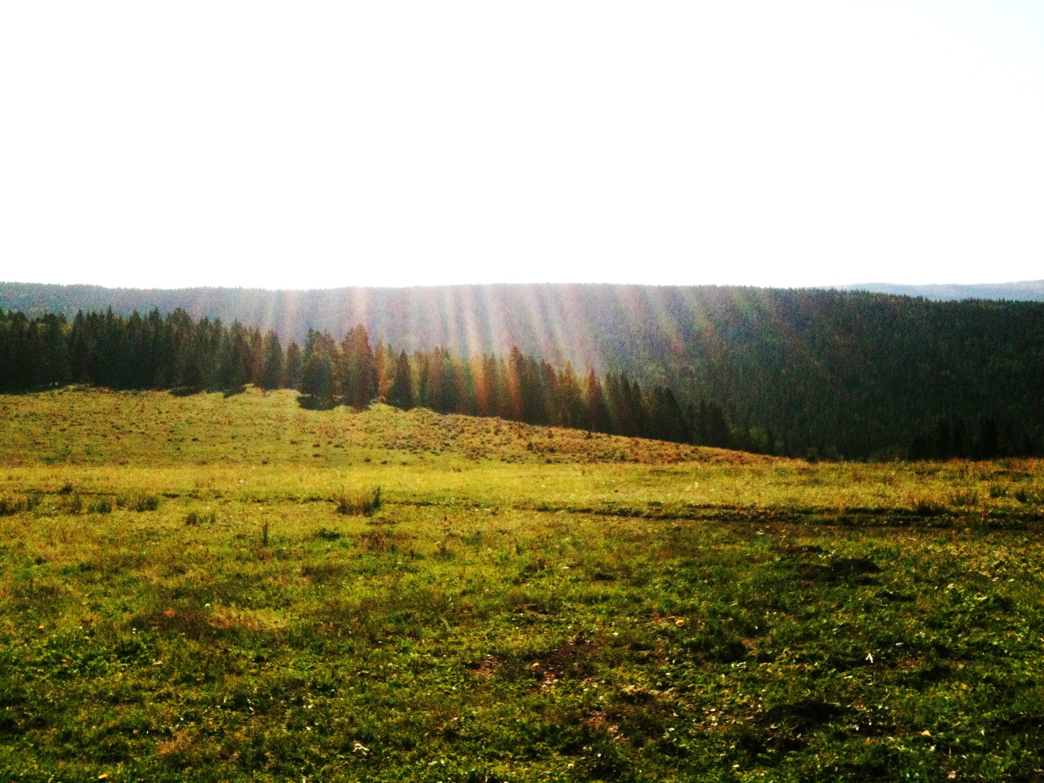 the walk to hamilton mesa