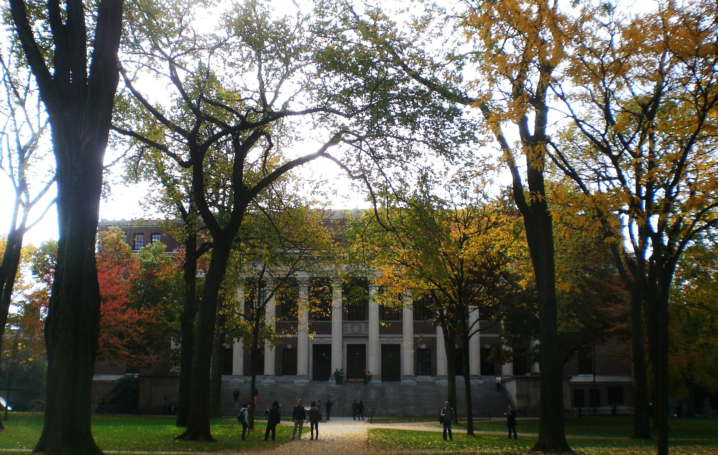 On the Steps of the Harvard Library