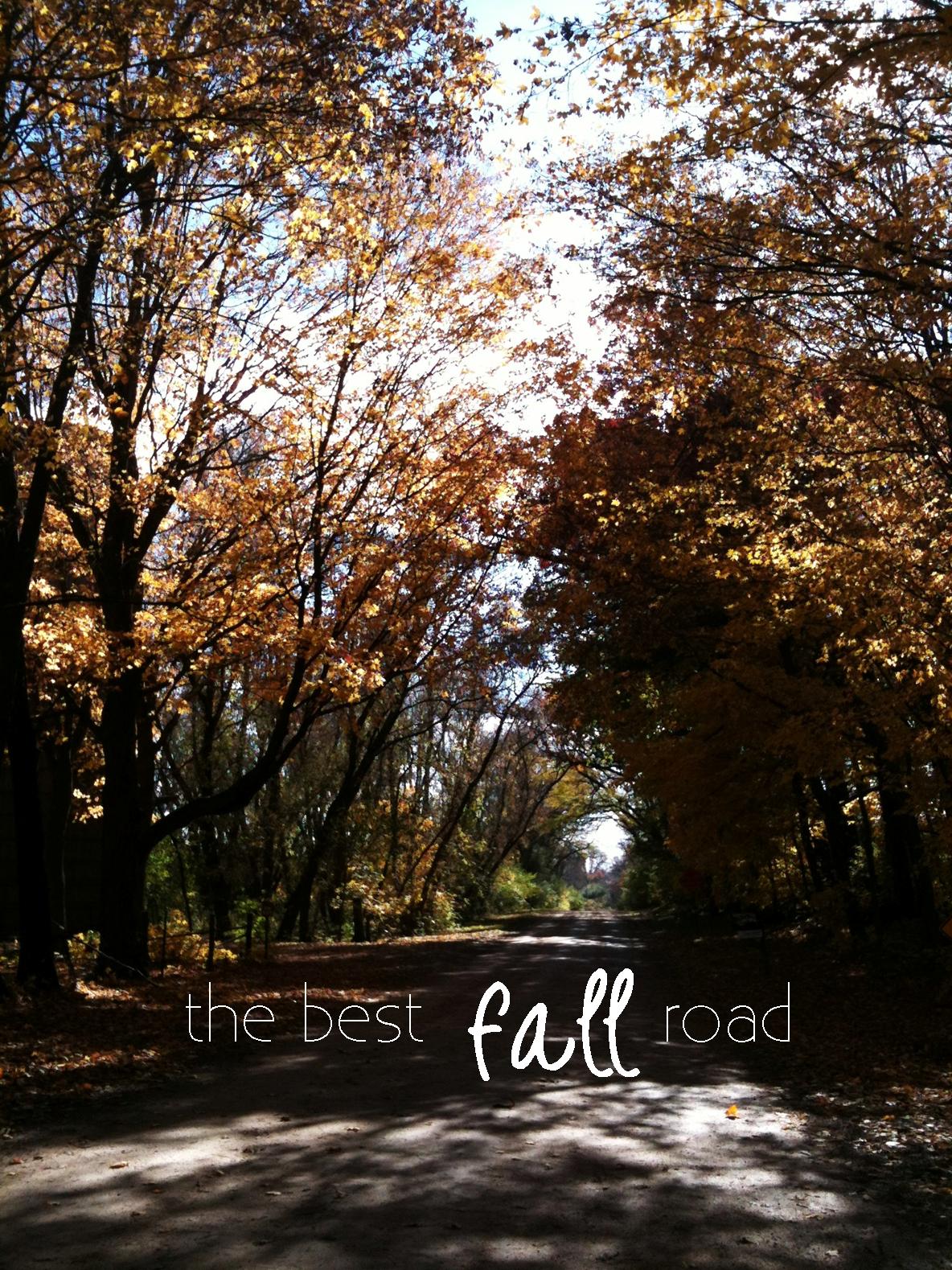 the perfect fall road